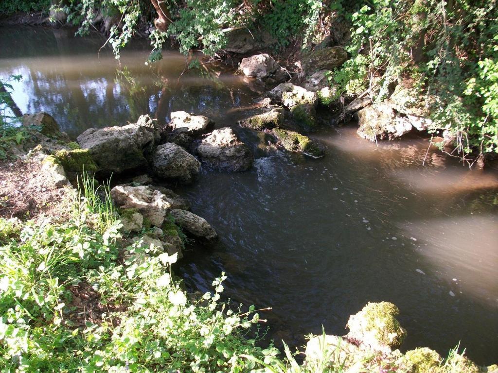 Chambre D'Hote Moulin Du Ru Aulnoy Eksteriør bilde